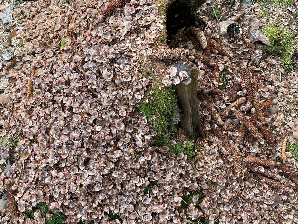 23-03-03 13-34-45 4637